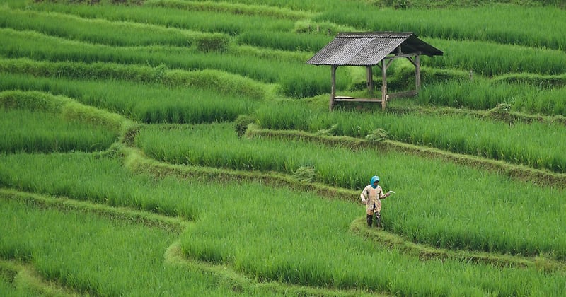 Hébergement familial insolite en Asie : 12 expériences à vivre