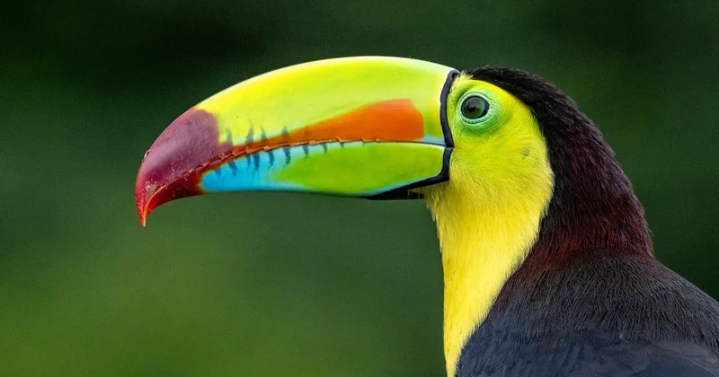 Les activités nature que personne ne mentionne (et qui plaisent le plus)