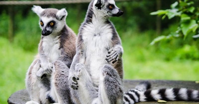 Où loger en famille à Madagascar : nos meilleures adresses